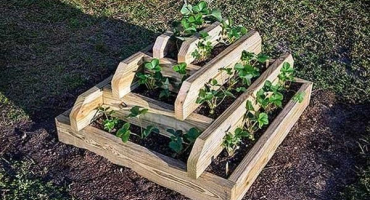 Jak vyrobit pyramidové lůžko pro jahody vlastníma rukama, velikostmi a pěstováním